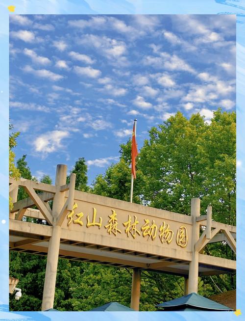红山动物园：拒绝动物表演，这里是生命最自由的模样