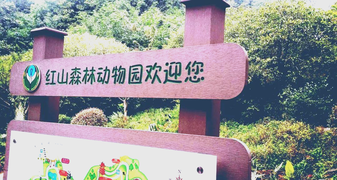 红山动物园