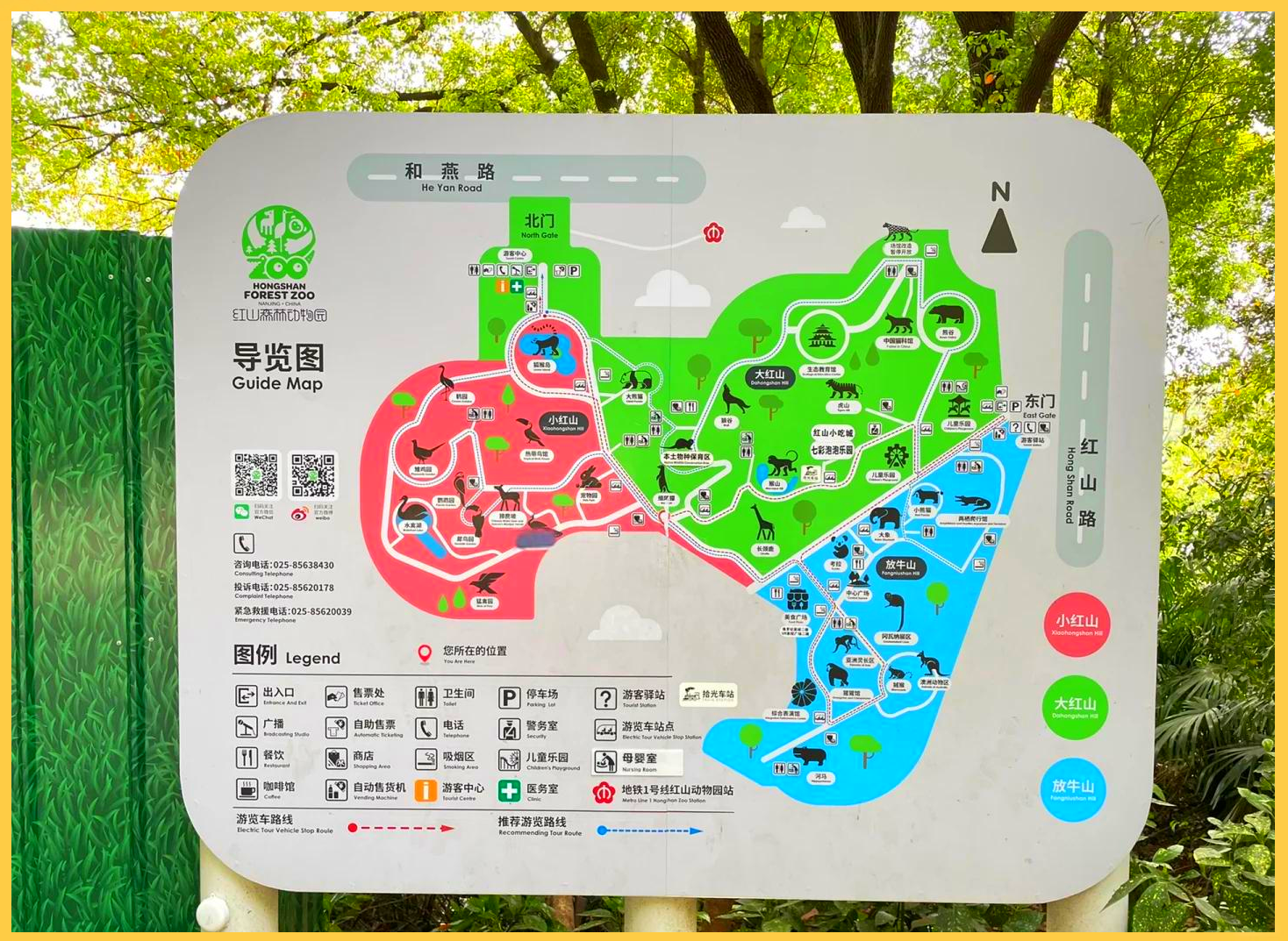 红山