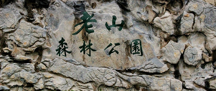 老山森林公园：金陵绿肺，一场洗涤灵魂的森林浴